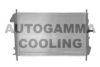 AUTOGAMMA 103102 Radiator, engine cooling